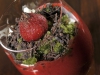 food13