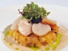 food46