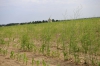 sie0503