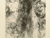2006_02
